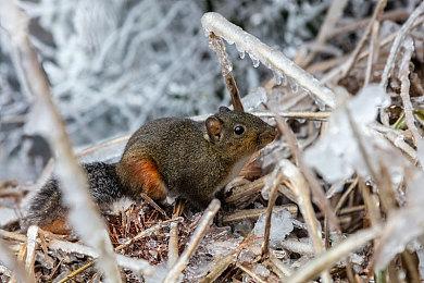 Eidos蒙特利尔解释为何开发《漫威银河护卫队》